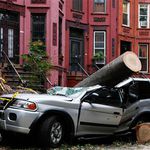 The SUV parked on 5th Street in Park Slope, Brooklyn, with the tree partially removed